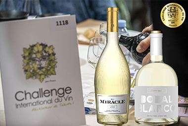 Challenge Internacional du Vin